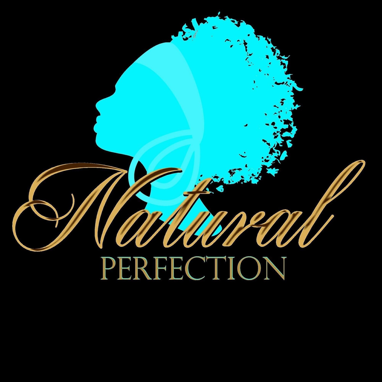 Natural Perfection Hair Braiding 
